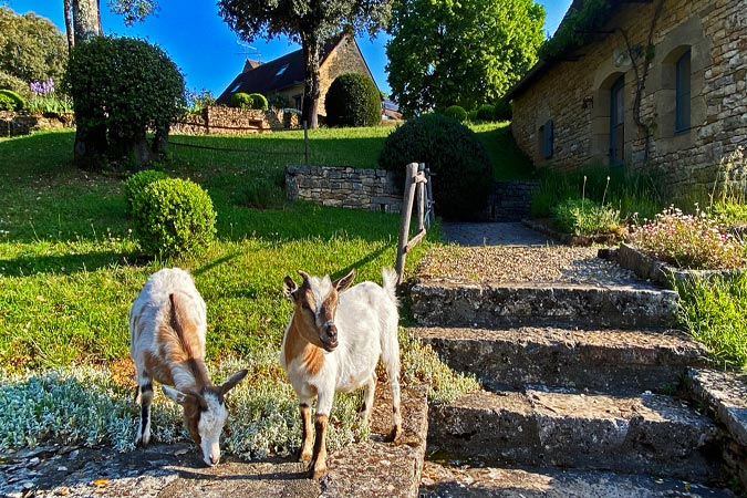 Flores y Borie de piedra en el Périgord