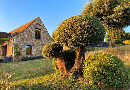 Blumen und Steinmauer im Ferienhaus Untere Molkerei in Sarlat, Dordogne in Südfrankreich