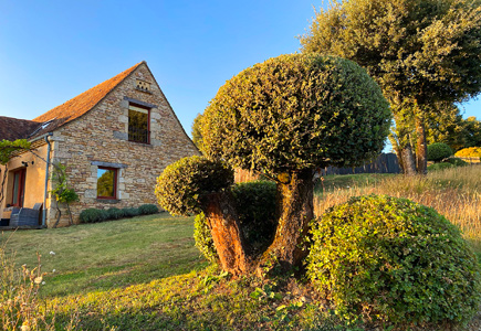 Flowers and drystone wall at the Métairie Basse in Sarlat