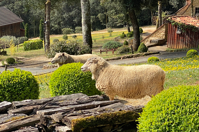 slow life en vacaciones en ecolodge Sarlat dorddogne