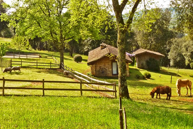 A little farm amidst the stone gites, Sarlat