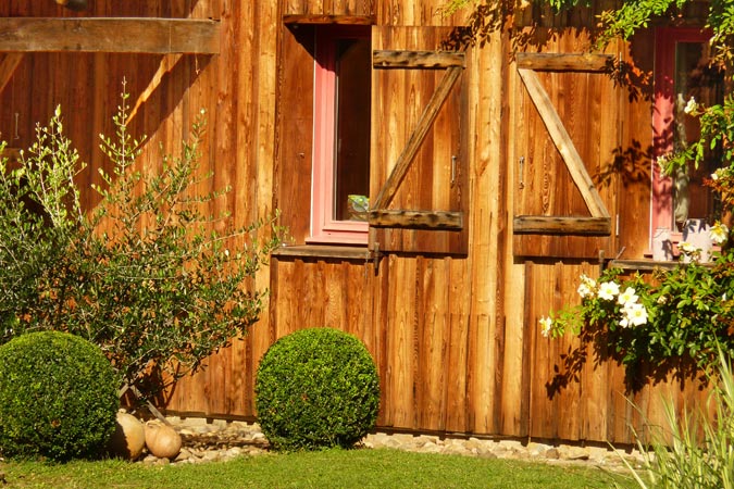 Buchsbaum am Ferienhaus der Freunde für Gruppen in Sarlat in Südfrankreich