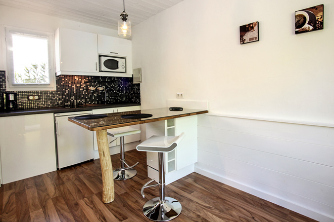 Kitchen in a studio apartment for rent with pool, Sarlat