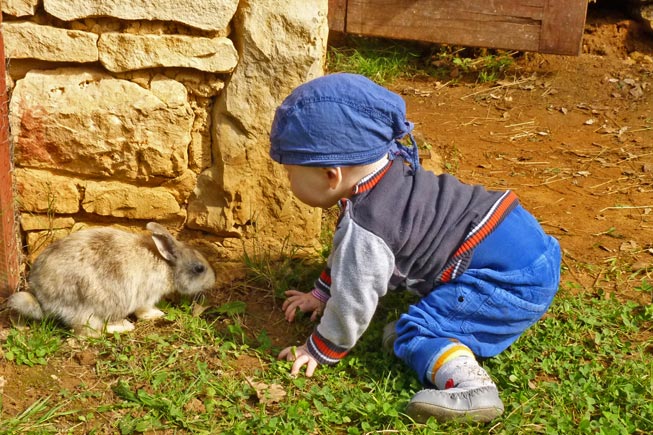 Little farm in holiday village in the Dordogne