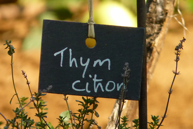 Pick-your-own vegetable garden at Hameau du Sentier des Sources, Sarlat